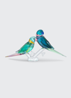 Swarovski Jungle Beats Parakeet Couple Fife & Fifer