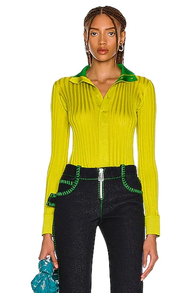 Bottega Veneta Buttoned Long Sleeved Sweater In Green