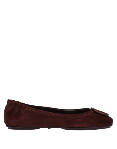 Tory Burch Ballet Flats In Brown