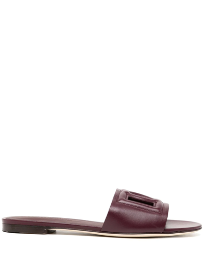 Dolce & Gabbana Dg Cut-out Detail Slides In Purple