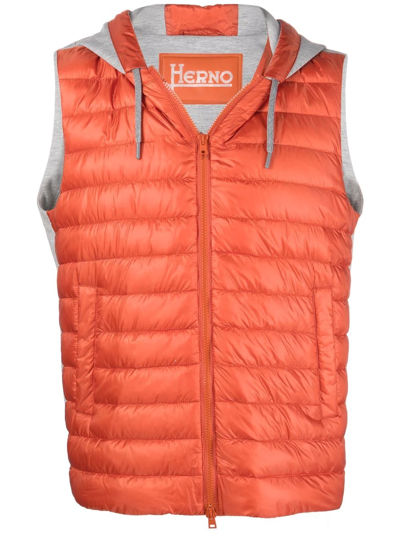 Herno Padded Hooded Gilet In Multi