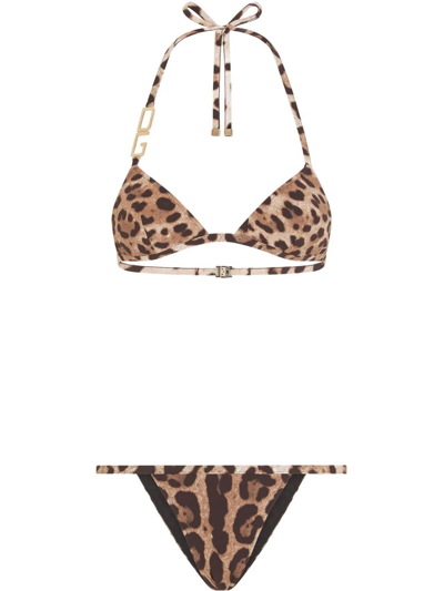 Dolce & Gabbana Leopard-print Halterneck Bikini In Multicolor