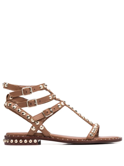 Ash Ariel Rockstud-embellished Sandals In Brown