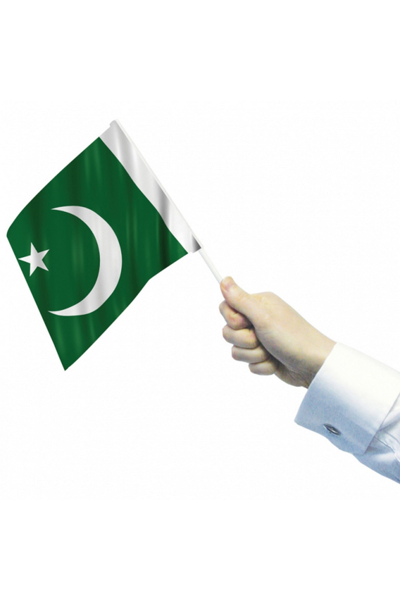 Unbranded Country Hand Flag In Green