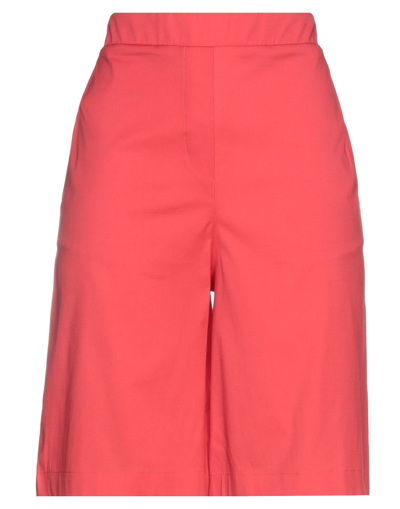 Giancarlo Desenzano Woman Shorts & Bermuda Shorts Coral Size 4 Cotton, Polyamide, Elastane In Red