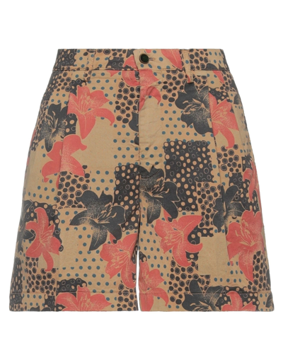 Berwich Woman Shorts & Bermuda Shorts Beige Size 2 Cotton, Elastane