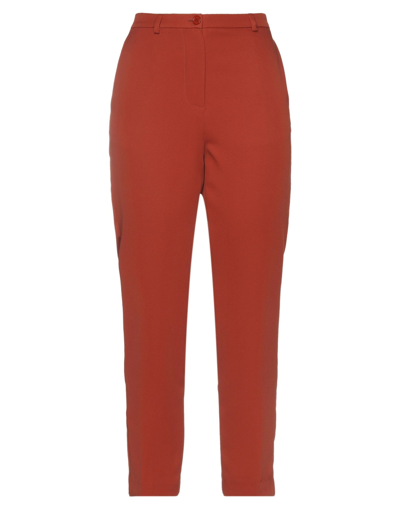 Vicolo Pants In Maroon