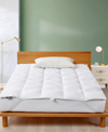 Serta White Goose Feather & Down Fiber Featherbed, Twin In White