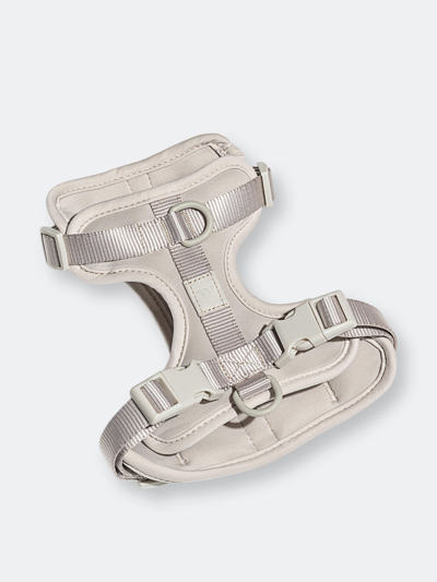 Wild One Pet Harness In Grey