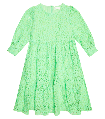 Morley Kids' Phoenix Lace Cotton-blend Dress In Lime