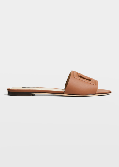 Dolce & Gabbana Dg Leather Flat Sandals In Light/brown