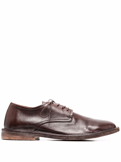 Moma Lace-up Leather Shoes In Braun