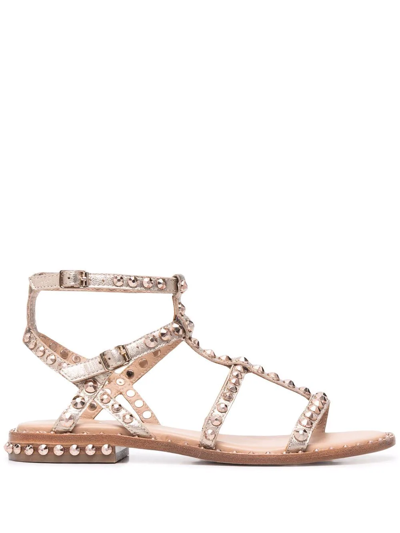 Ash Precious Sandal Light Gold