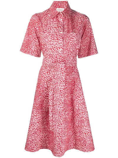 P.a.r.o.s.h Leopard-print Cotton Midi Dress In Rosa