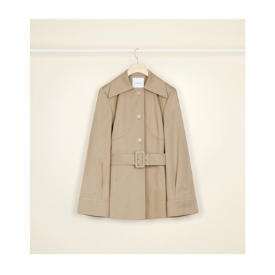 Patoo Belted Jacket In Neutral