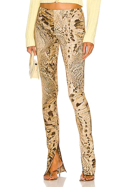 Blumarine Brown & Beige Snake Jeans