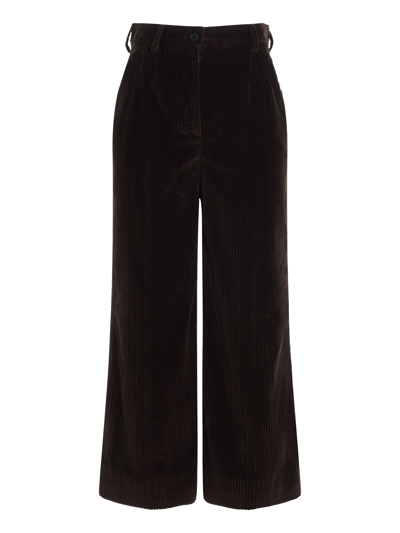 Dolce & Gabbana Pleated Velvet Pants In Brown