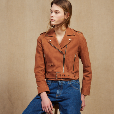 Sandro Suede Perfecto Jacket In Terracotta ModeSens