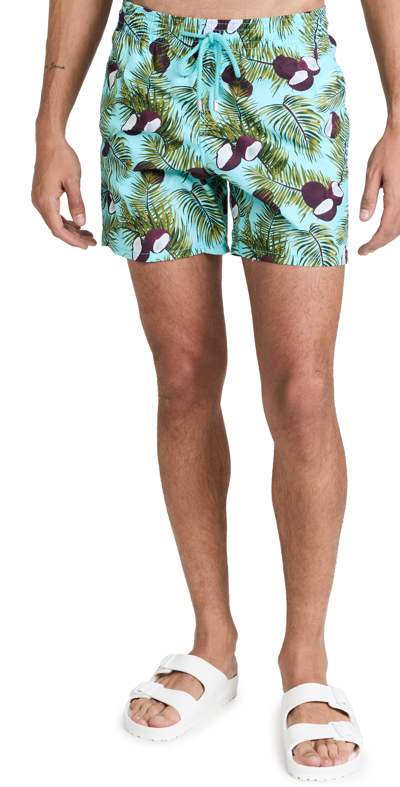Vilebrequin Men's Coconuts Tropical Swim Shorts In Blue