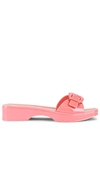 Veronica Beard Davina Jelly Buckle Resort Sandals In Pink