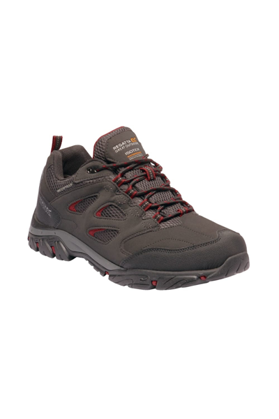 Regatta Mens Holcombe Iep Low Hiking Boots In Grey