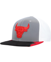 MITCHELL & NESS MEN'S MITCHELL & NESS GRAY, WHITE CHICAGO BULLS DAY 5 SNAPBACK HAT