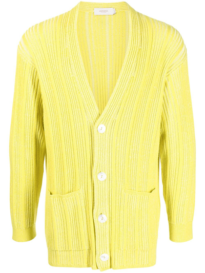 Agnona Rib Cotton & Linen Cardigan In Yellow