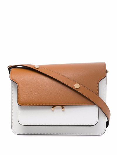 Marni White And Brown Trunk Leather Bag In Neutrals