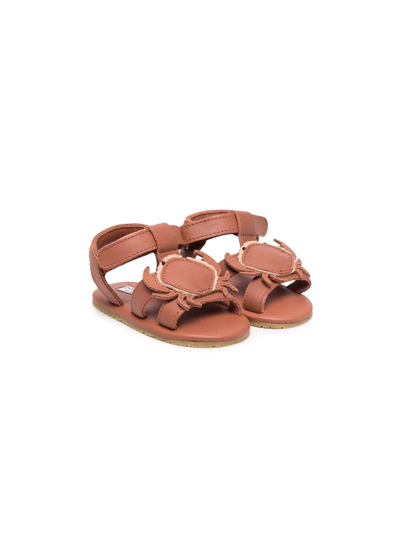 Donsje Babies' Leather Crab-detail Sandals In Brown