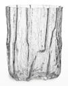 Kosta Boda Crackle Clear Tall Crystal Vase
