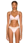 Versace Greca Border Triangle Bralette In Candy