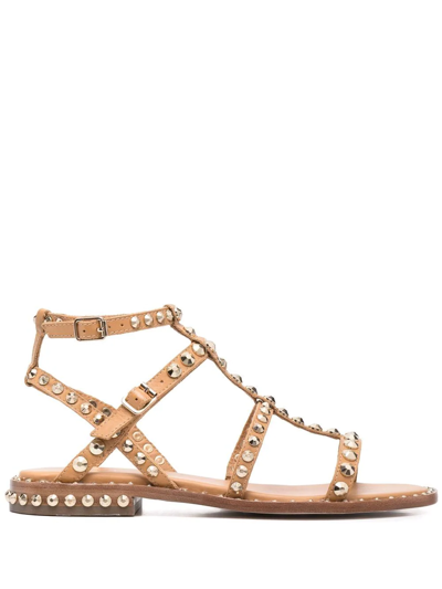 Ash Petra Stud-embellished Sandals In Dark Beige