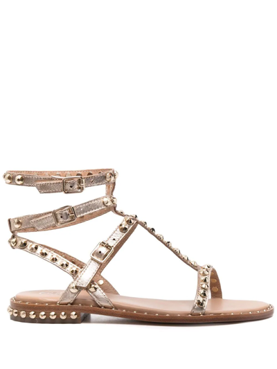 Ash Play Stud-embellished Sandals In Bronze