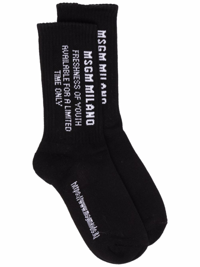 Msgm Slogan-intarsia Socks In Black