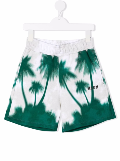 Msgm Kids' Palm Tree-print Shorts In Green