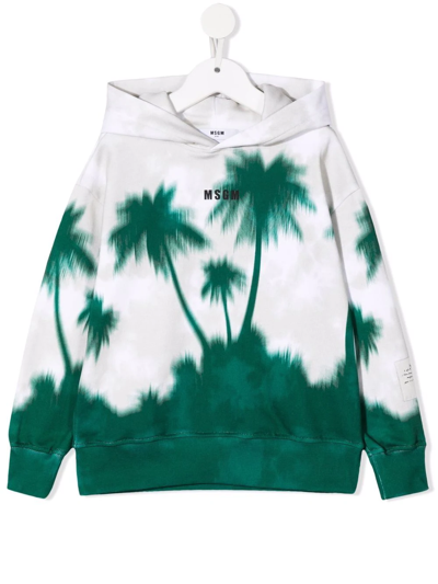 Msgm Kids' Palm Tree-print Hooded Sweatshirt In Green