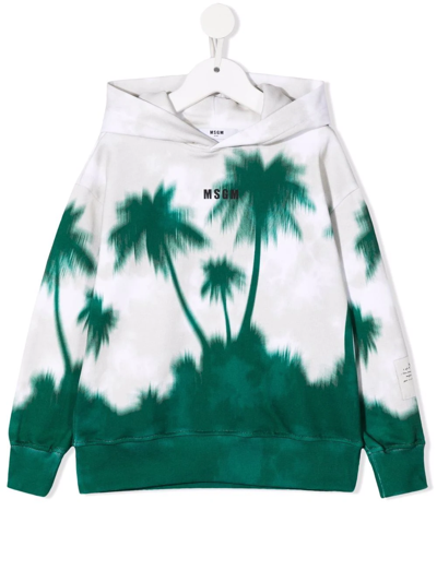 Msgm Kids' Palm Tree-print Hooded Sweatshirt In Neutrals
