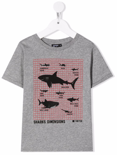 Yporqué Kids' Shark-print Cotton T-shirt In Grey