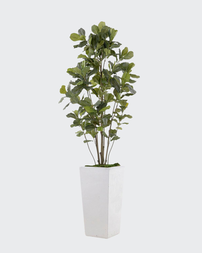 John-richard Collection Gray White Fig In Ceramic Planter In Green