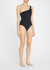 Melissa Odabash Palermo Animal-print One-shoulder One-piece Swimsuit In Black Ribbed