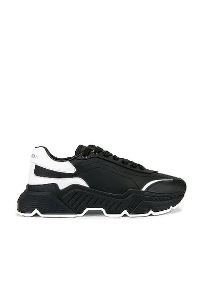 Dolce & Gabbana Daymaster Black Leather Trainers In Multi-colored