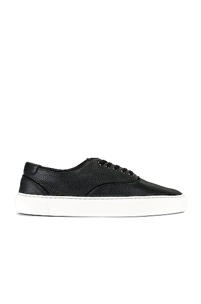 Saint Laurent Venice Sneakers In Black