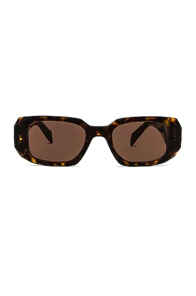 Prada Scultoreo Narrow Sunglasses In Brown