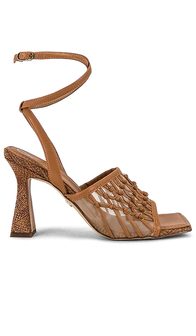 Sam Edelman Women's Candice Ankle Strap High Heel Sandals In Cuoio