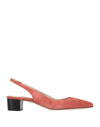 Theory Pumps In Coral