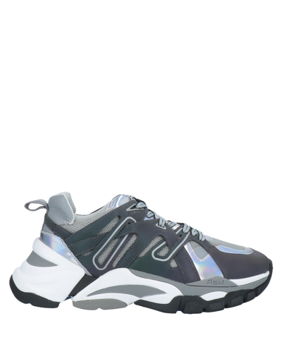 Ash Sneakers In Grey