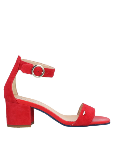 Alberto Guardiani Sandals In Red