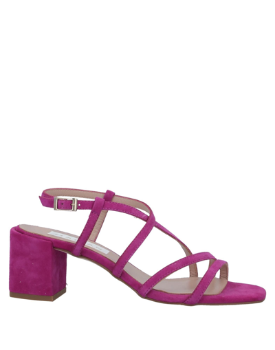 Marian Sandals In Purple