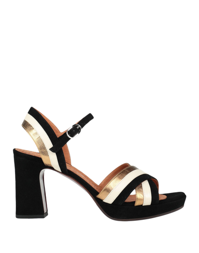 Chie Mihara Sandals In Black