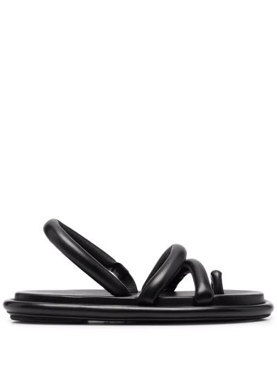 Marsèll Spalmata Toe-ring Flat Sandals In Black